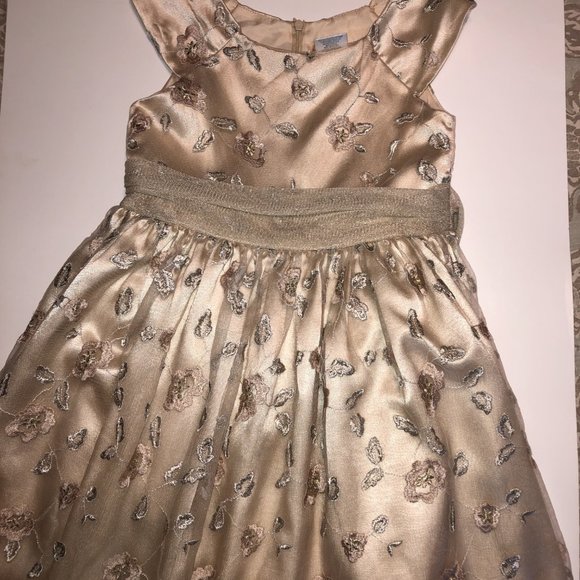 Sz 8 Jenny & Me Embroidered Floral Champagne Dress Flower Girl First Communion - Picture 12 of 15